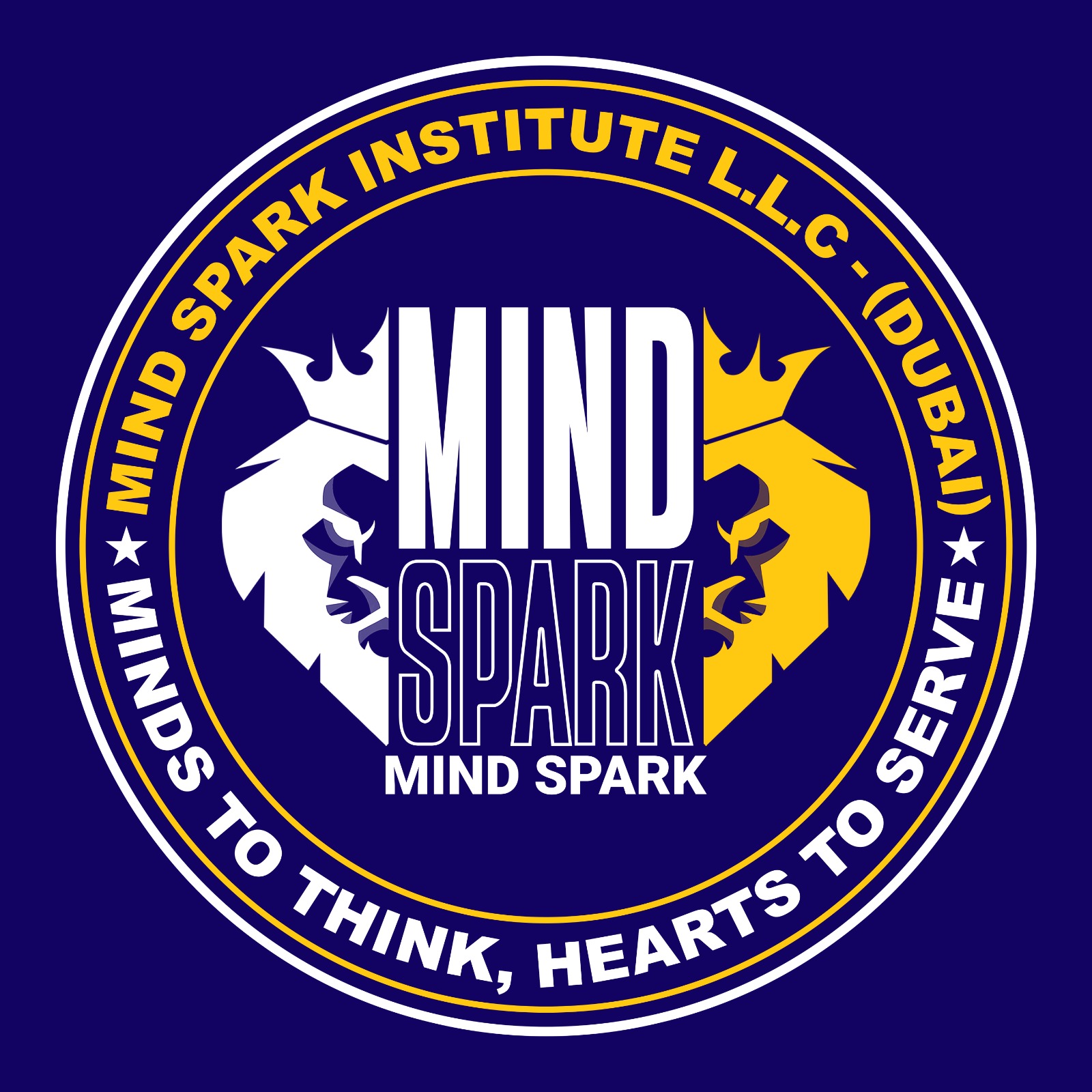 Mind Spark Institute logo
